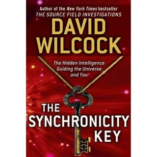 The Synchronicity Key: The Hidden Intelligence Guiding the Universe and  You: Wilcock, David: 9780525953678: : Books