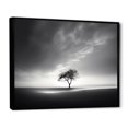 thumbnail image 2 of Designart "Tree Silhouette In Monochromatic Skyline" Coastal Sunset Floater Framed Canvas Art Print, 2 of 5