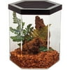 Repitat Rep017 2 Gal Hex Shaped Arcrylic