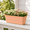Brown, variant on Rectangular Flower Pot with Wavy Ruffled Edge, Durable Plastic Window Planter Box for Indoor & Outdoor Use, Window Sill, Balcony & Garden