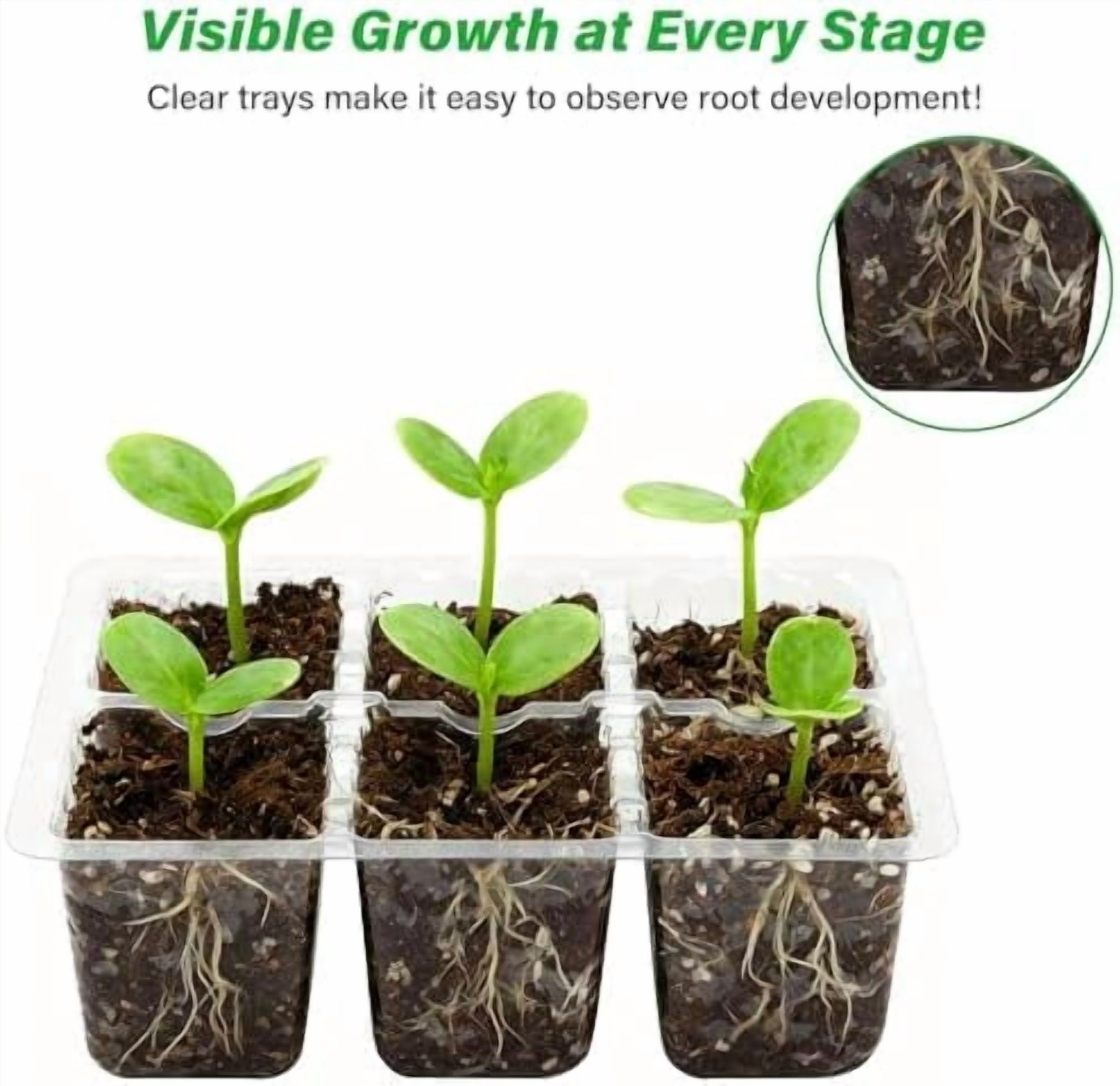 10 Packs Seed Starter Tray with Drainage Holes, Reusable & Durable, Clear for Root Monitoring, Easy to Repotted Without Root Damage, 6 Cells per Tray