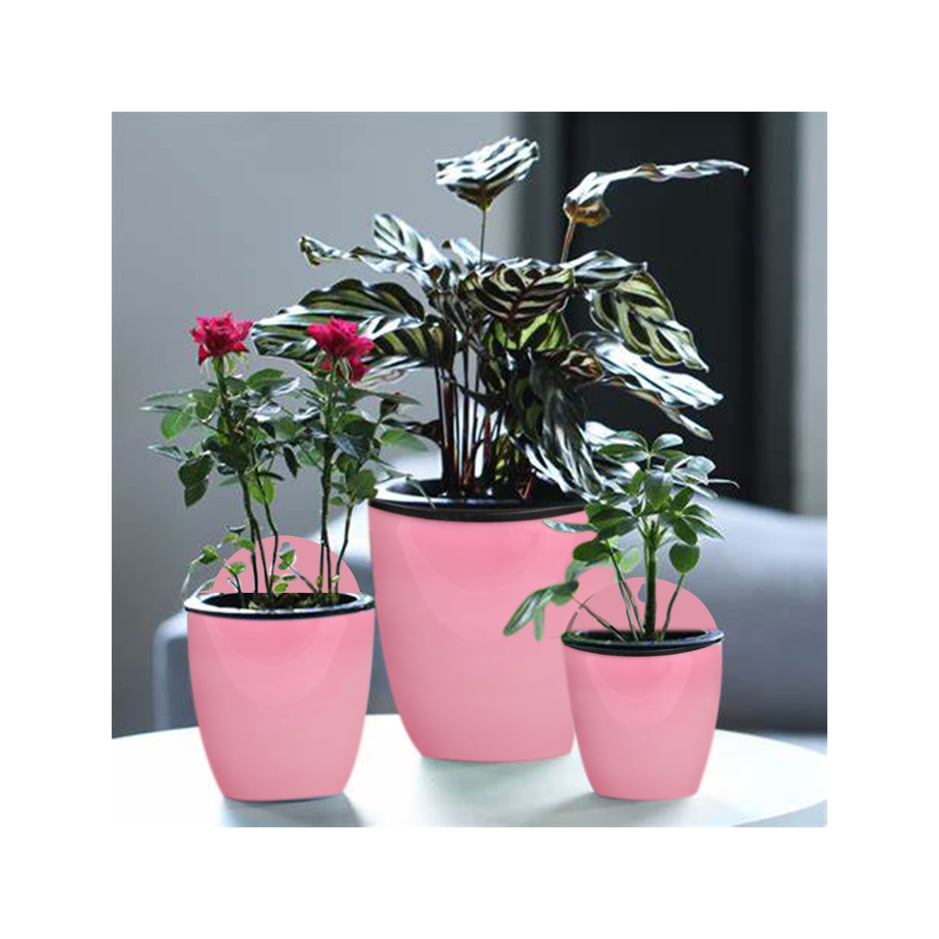 waltyotur 7Pack Self-watering Plant Flower Pot Wall Hanging Plastic Planters with Hooks