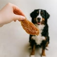 thumbnail image 3 of Gâteries pour chiens Filets de poulet Pure Balance, 3 of 7