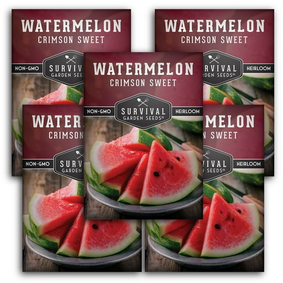 5 Packs Crimson Sweet Watermelon - Non-GMO Heirloom Vegetable Seeds - Full Sun Annual