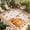 Yellow Orange, variant on Fall Outdoor Rug for Patio/Deck/Porch, Non-Slip Large Area Rug 5 x 8 Ft, Orange Pumpkins Thanksgiving Maple Leaf Sunflower Plaid Indoor Outdoor Rugs Washable Area Rugs, Camping Rug Carpet Runner