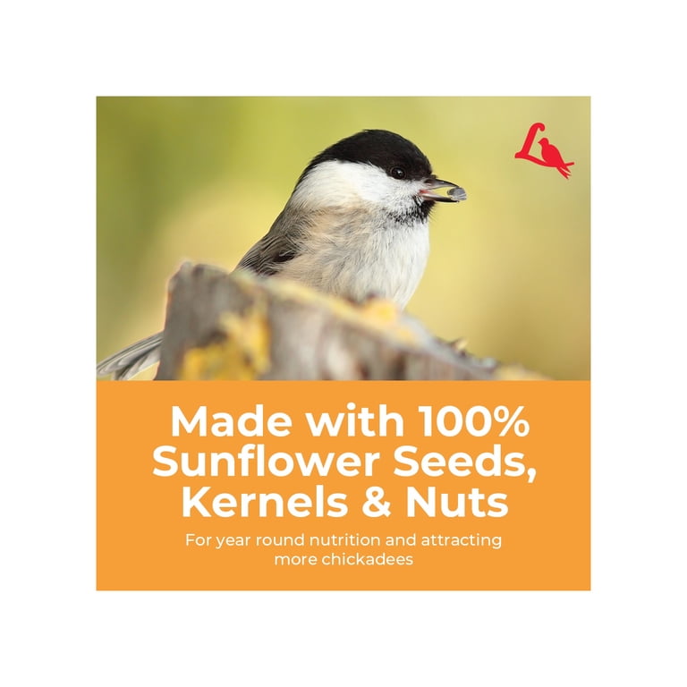Lyric Chickadee Sunflower & Nut Mix Wild Bird Food, 4 Lb photo 7