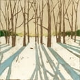 thumbnail image 2 of Meagher, Megan 20x20 Black Ornate Wood Framed with Double Matting Museum Art Print Titled - Winter Shadows II, 2 of 4