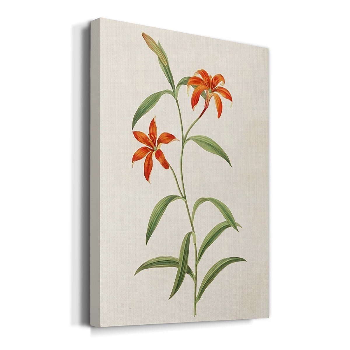 Flowers of the Seasons III Premium Gallery Wrapped Canvas - Ready to Hang
