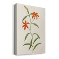 thumbnail image 2 of Flowers of the Seasons III Premium Gallery Wrapped Canvas - Ready to Hang, 2 of 9