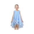 thumbnail image 3 of Girls Dress Blue Floral Handbag Tulle Princess Cute Lovely Party Holiday 6 Years, 3 of 9