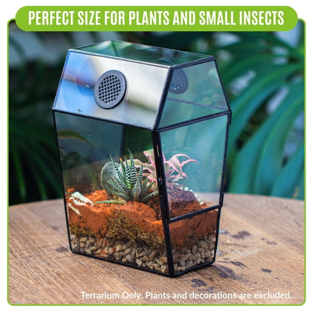 NCYP Gothic Coffin Shape Glass Terrarium with Front Door, 5.1