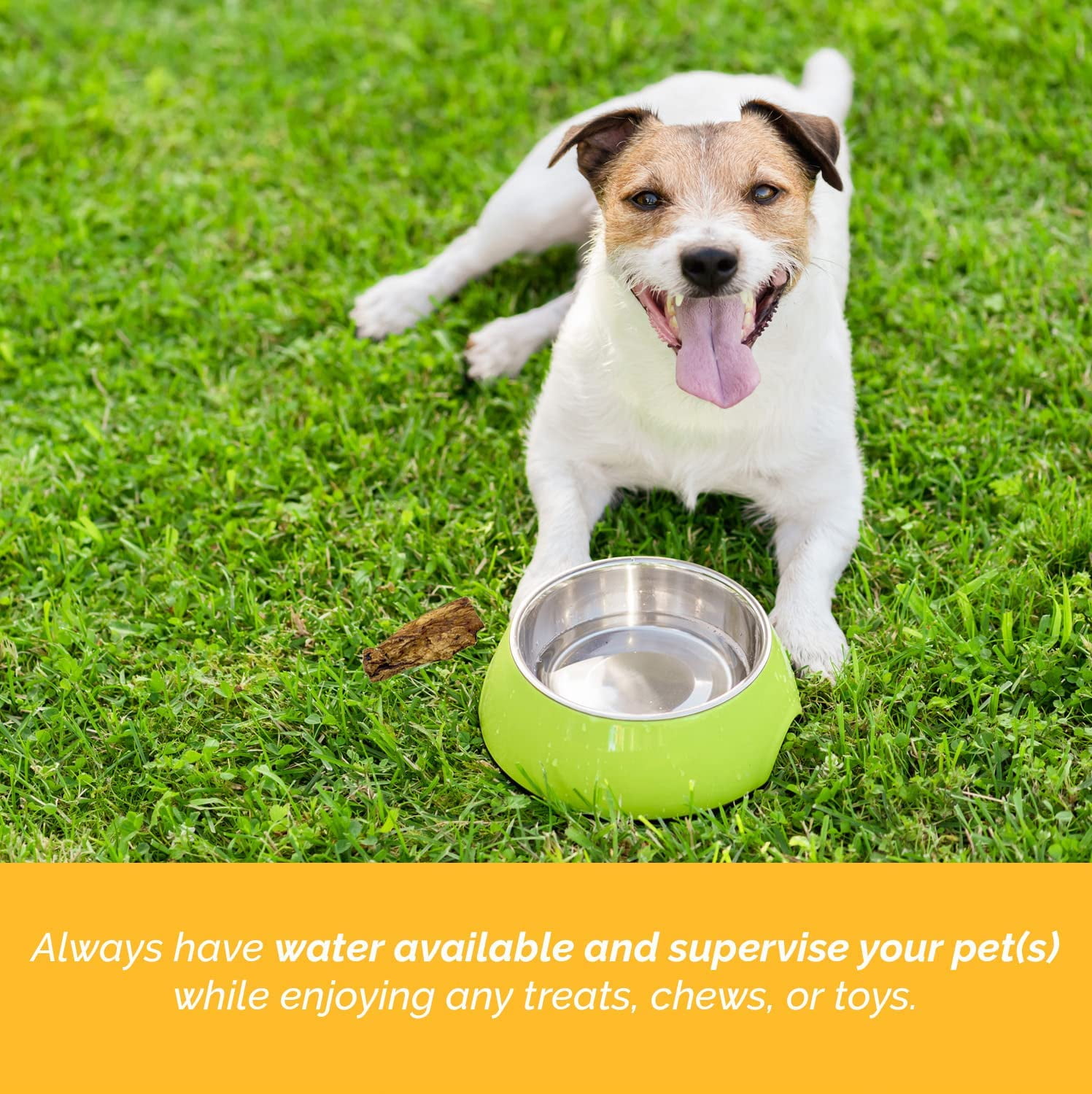 Beef Tripe Sticks for Dogs (6" - 25 Count) All Natural Beef Dog Treats from Free Range, Grass Fed Beef Dog Chews Safe & Easily Digestible – Twist Sticks Great for Puppies & Senior Dogs by 123 Treat