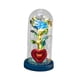 thumbnail image 4 of Flor de rosa de iluminación artificial en cúpula de vidrio Elegante Presente Batería Operada, 4 of 8
