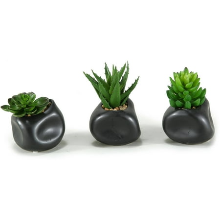 Echeveria Plant - D&W Silks Set-of-3 Mixed Echeveria, Aloe and Succulents in Matte Black Ceramic