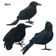 thumbnail image 4 of Decodeary Halloween Home Decor - High Simulation Black Crow Ornament With Fine three-piece 1Set, 4 of 6