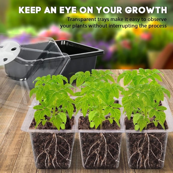 6Pcs Seed Starter Tray, 36 Large Cell Mini-Incubator Plant Grower Kits with Humidity Ventilation Dome & Seed Starter Greenhouse Base, for Greenhouses and Gardens (Black)