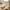 2#Khaki, variant on gljltg (3-14 Years) Boys' Summer Solid Color Cargo Shorts with Pockets, Elastic Waist Sports Casual Shorts