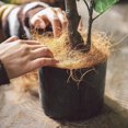 thumbnail image 3 of 500g Coconut Husk Fiber Orchids Crafts Planting Accessories, 3 of 8