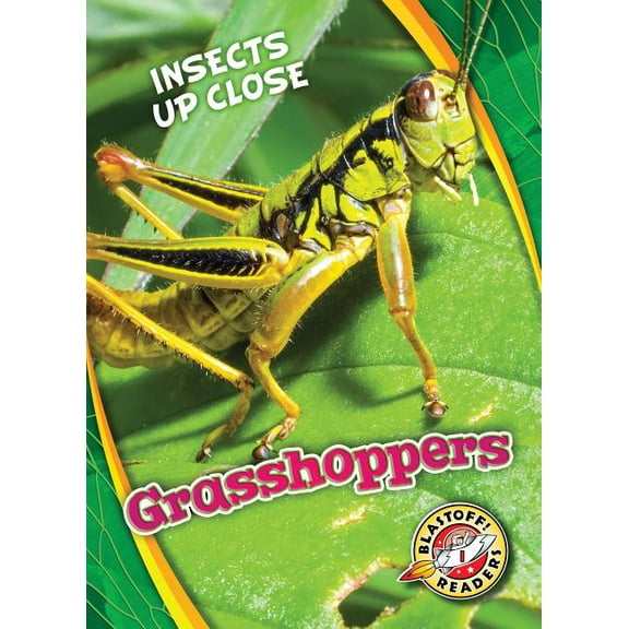 Insects Up Close Grasshoppers, (Hardcover)