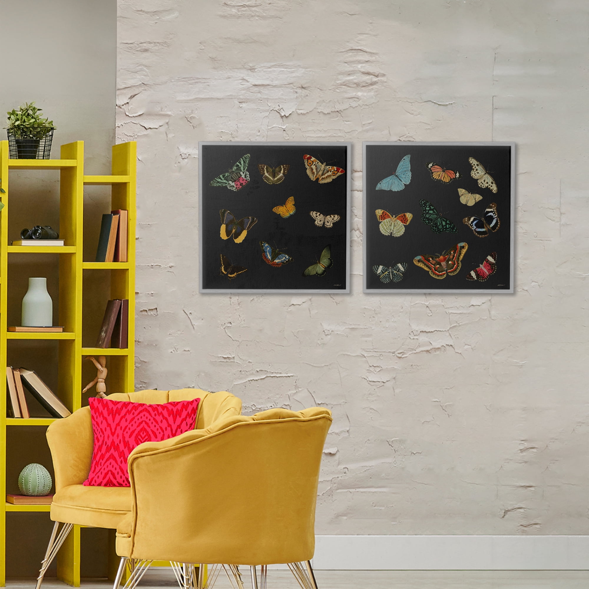 Stupell Industries Entomology Collection on Black 2 Piece Gray Framed Giclee Art Set, design by Dan Meneely