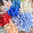 thumbnail image 3 of 50/60pcs Dried Flower Grass Decoration Photography Props For Home Store Wedding, 3 of 3