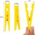 thumbnail image 3 of 300PCS Colorful Wooden Clothespins, 2.9 Inch Clothing Clips, Large Wooden Clothes Pins, Decorative Pins, 10 Color, Strong Grip, Multipurpose Clips for Crafts Hanging Clothes Picture, 3 of 4