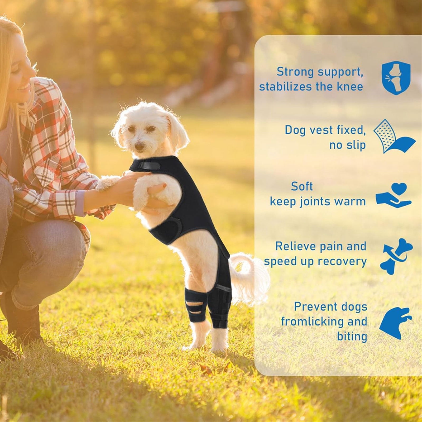 Dog Knee Brace Back Leg Joints Protectors Elastic Neoprene Leg Sleeve With Adjustable Belt For Elderly Dog Health Joint