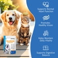 thumbnail image 3 of Taurine Powder Supplement for Dogs & Cats, Support Vision & Heart, Digestive Balance, with Essential Amino Acid, Taurine Powder for Daily Pet Nutrition, 7.05oz/ 200g, 3 of 11