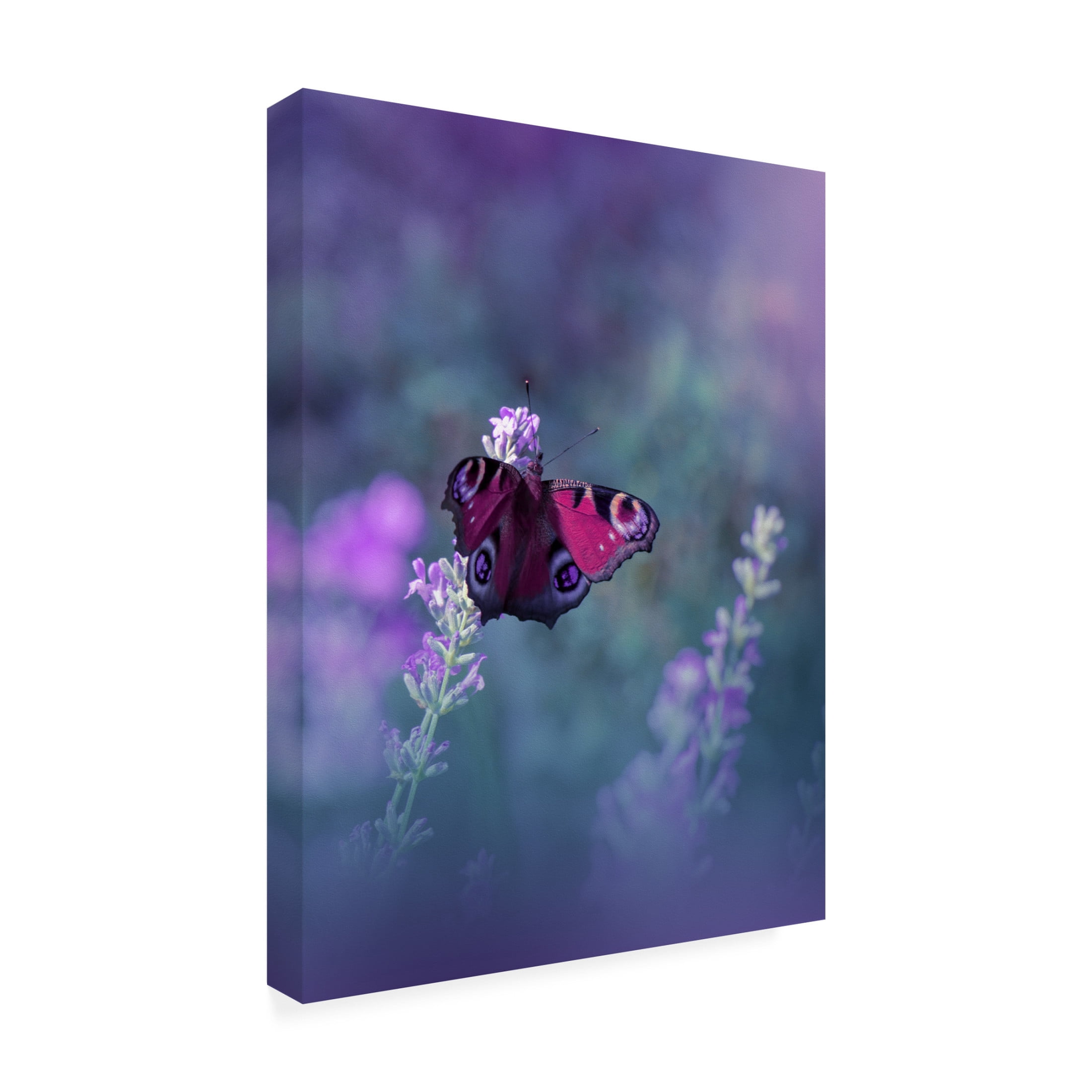 Trademark Fine Art Juliana Nan Queen Of Flowersiii Canvas Wall Art