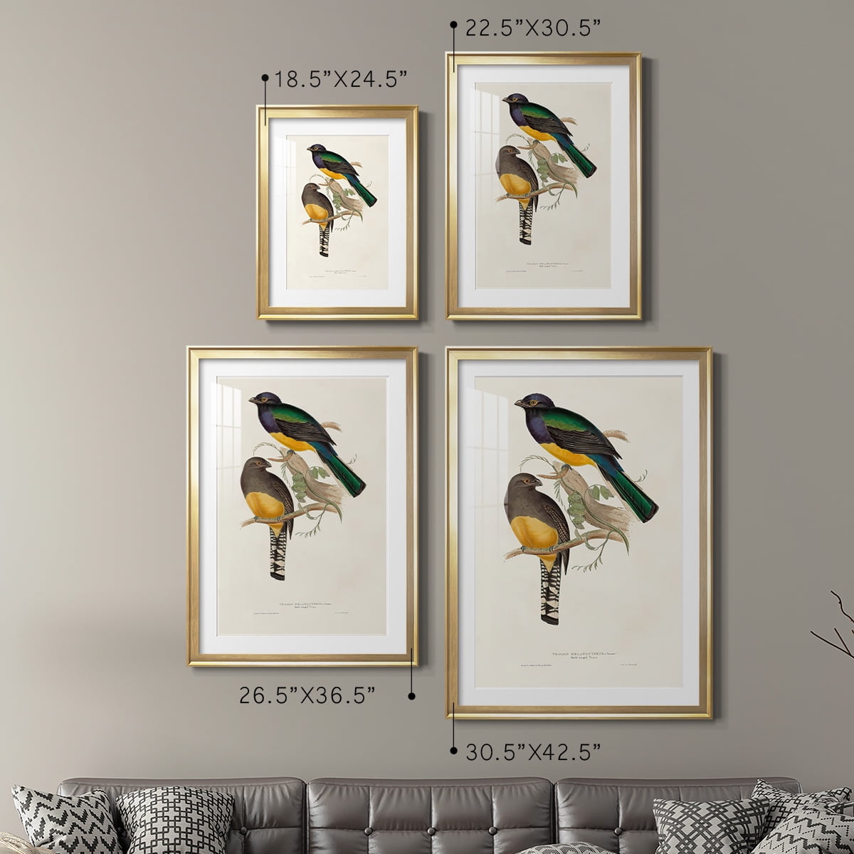 Wexford Home Elegant Trogons III Premium Framed Print, 26.5" x 36.5" - Ready to Hang, Gold (Set of 2)