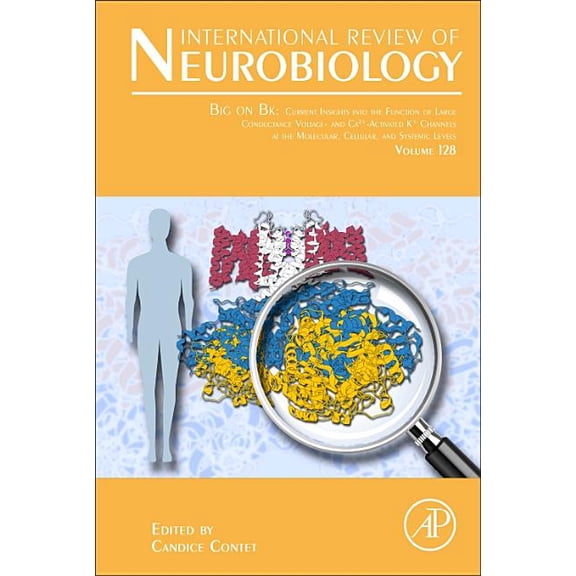 International Review of Neurobiology Big on Bk: Current Insights Into the Function of Large Conductance Voltage- And Ca2 - Activated K Channels at the Molec, Book 128, (Hardcover)