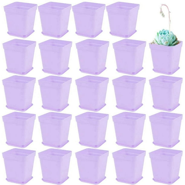 Nvzi Paquete de 24 macetas de plástico cuadradas para vivero, macetas de plástico de 3 pulgadas, maceta con bandeja y platillo para decoración de interiores, exteriores,color morado