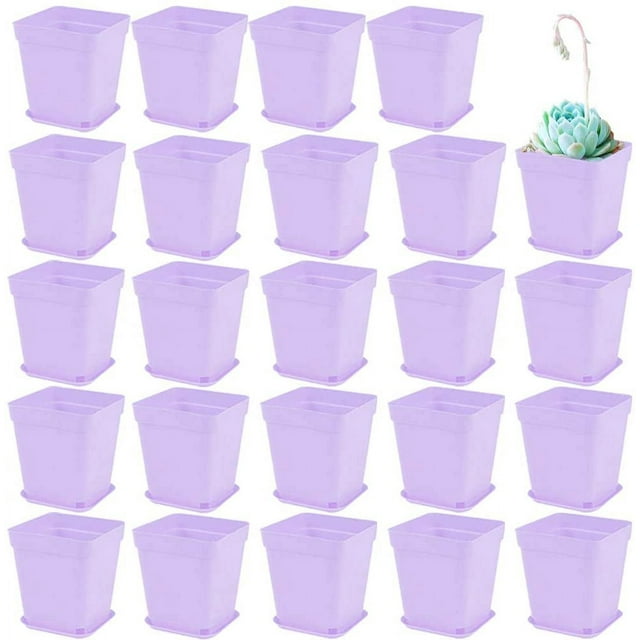 Zhuge Paquete de 24 macetas de plástico cuadradas para vivero, macetas de plástico de 3 pulgadas, maceta con bandeja y platillo para decoración de interiores,jardines y oficinas, color morado