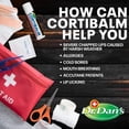 thumbnail image 4 of Dr. Dan's CortiBalm Medicated Lip Balm with 1% Hydrocortisone for Chapped Skin, 0.25 oz, 3 Count, 4 of 5