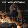 thumbnail image 5 of Luz de seguridad LED para paseo oscuro, linterna LED con clip para collar de perro y gato, luz con dije para collar de mascota, 5 of 5