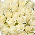 thumbnail image 5 of White Roses - Farm Direct Fresh Cut Flowers - 50 Stems - by Bloomingmore, 5 of 5