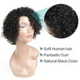 thumbnail image 5 of XIAQUJ Hair Wigs 10 Inch Short Curly Brazilian Wigs Brazilian Human Hair Wigs for Women Black, 5 of 9