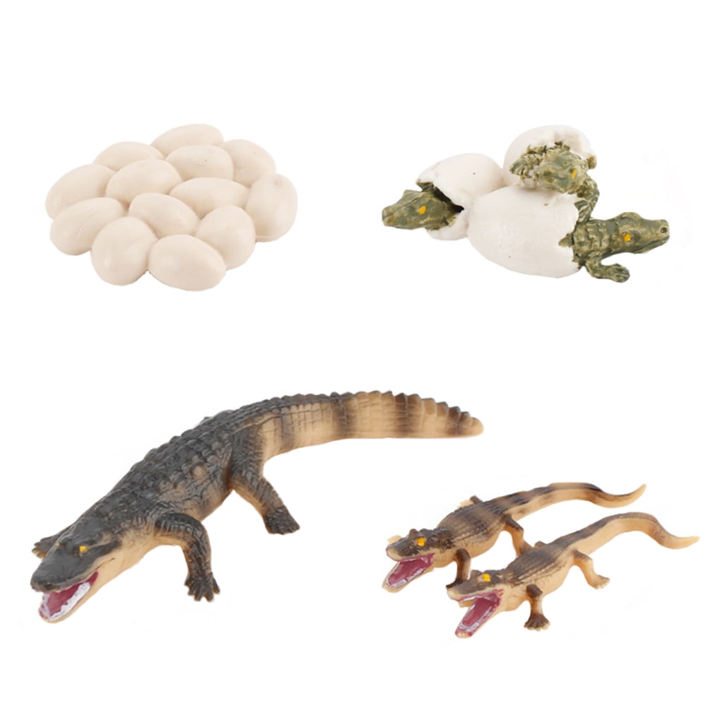 Hcyz 1 Set Simulation Crocodile Model Crocodile Eggs Toy Kid Educational Plaything Other 10x3cm