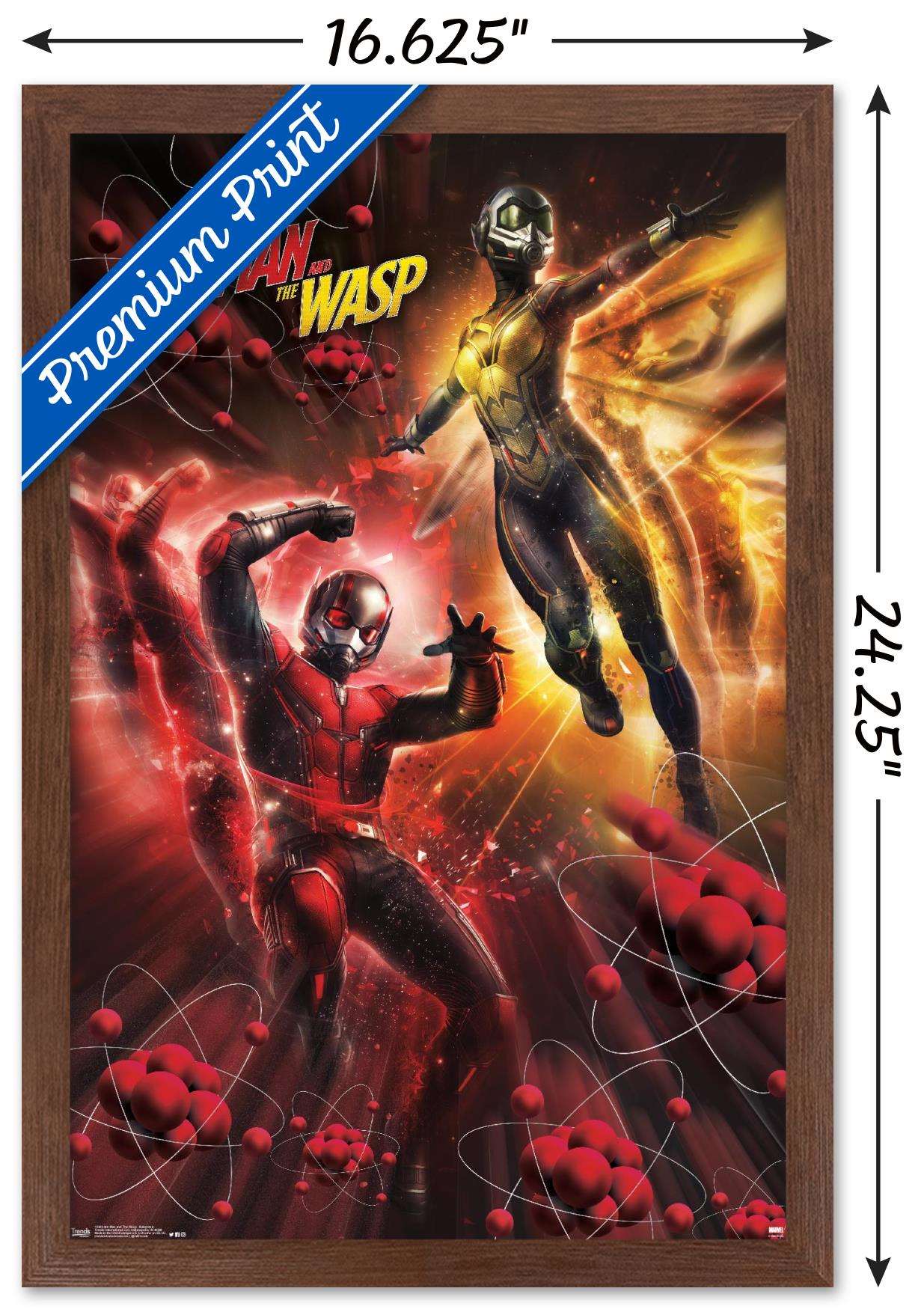 Marvel Cinematic Universe - Ant-Man and the Wasp - Subatomic Wall Poster, 14.725" x 22.375", Framed
