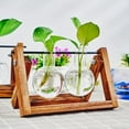 thumbnail image 5 of Wooden Frame Tabletop Vase Set Multi-Purpose Bonsai Planter Hydroponic Base Terrarium Display Containers Home Decor Centerpiece, 5 of 9