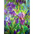 thumbnail image 1 of Carolines Treasures PJC1045CHF Iris par le Puits Drapeau Toile Taille Maison, 1 of 4