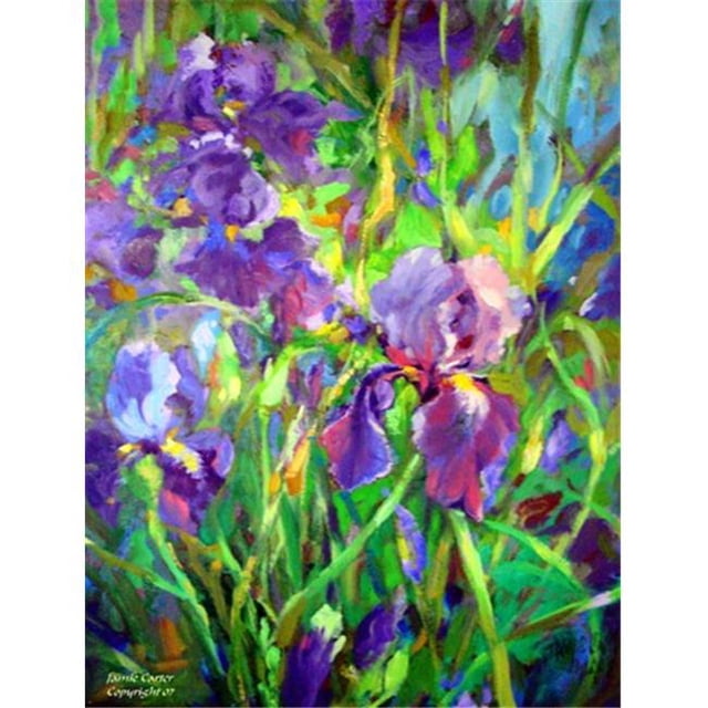 Carolines Treasures PJC1045CHF Iris par le Puits Drapeau Toile Taille Maison