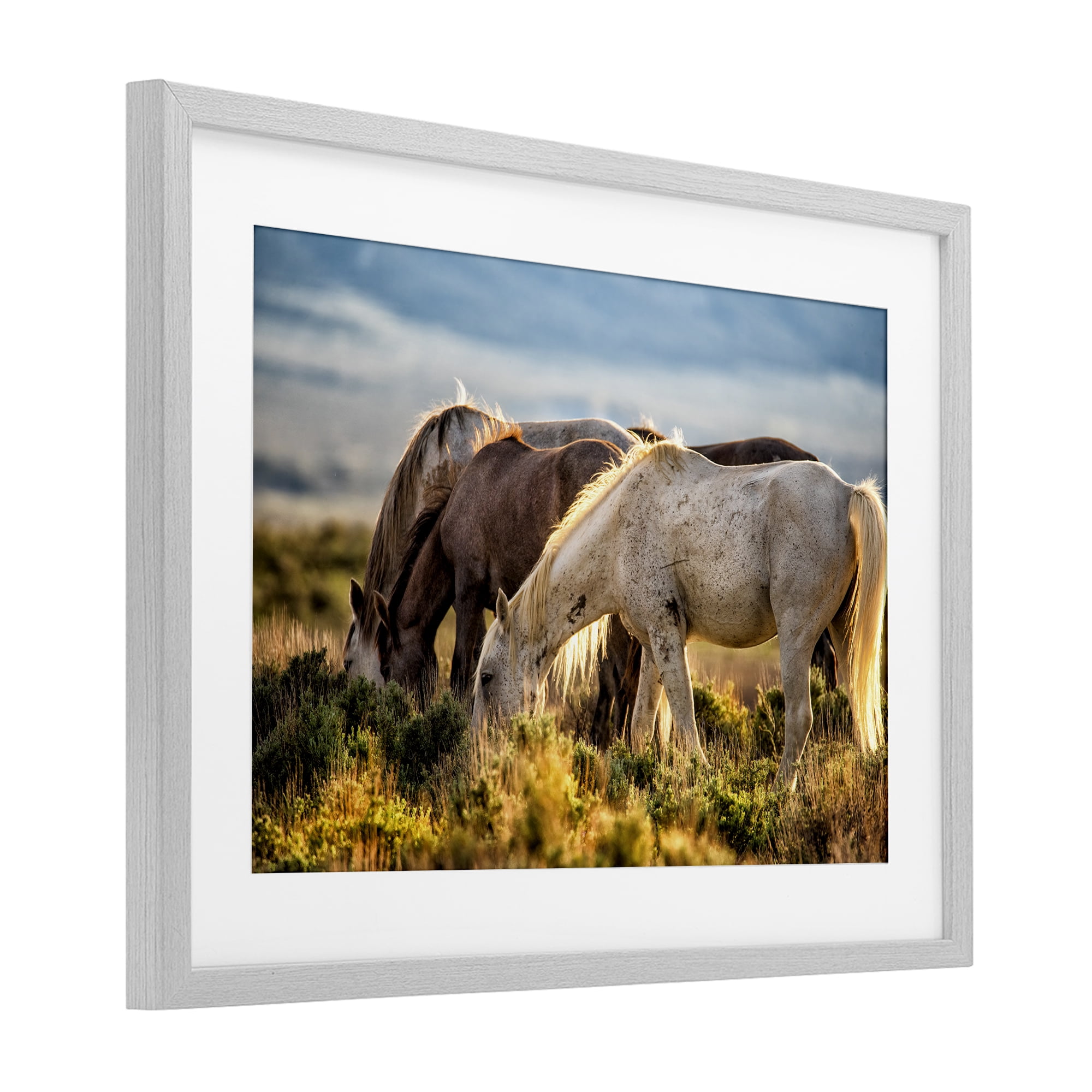 Stupell Industries Equine Evening Graze Gray Framed Print Under Glass, design by Tim West