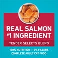 thumbnail image 6 of Purina ONE Tender Selects Blend With Real Salmon Digestive Care Natural Dry Cat Food, 7 lb, 4 Pack, 6 of 13