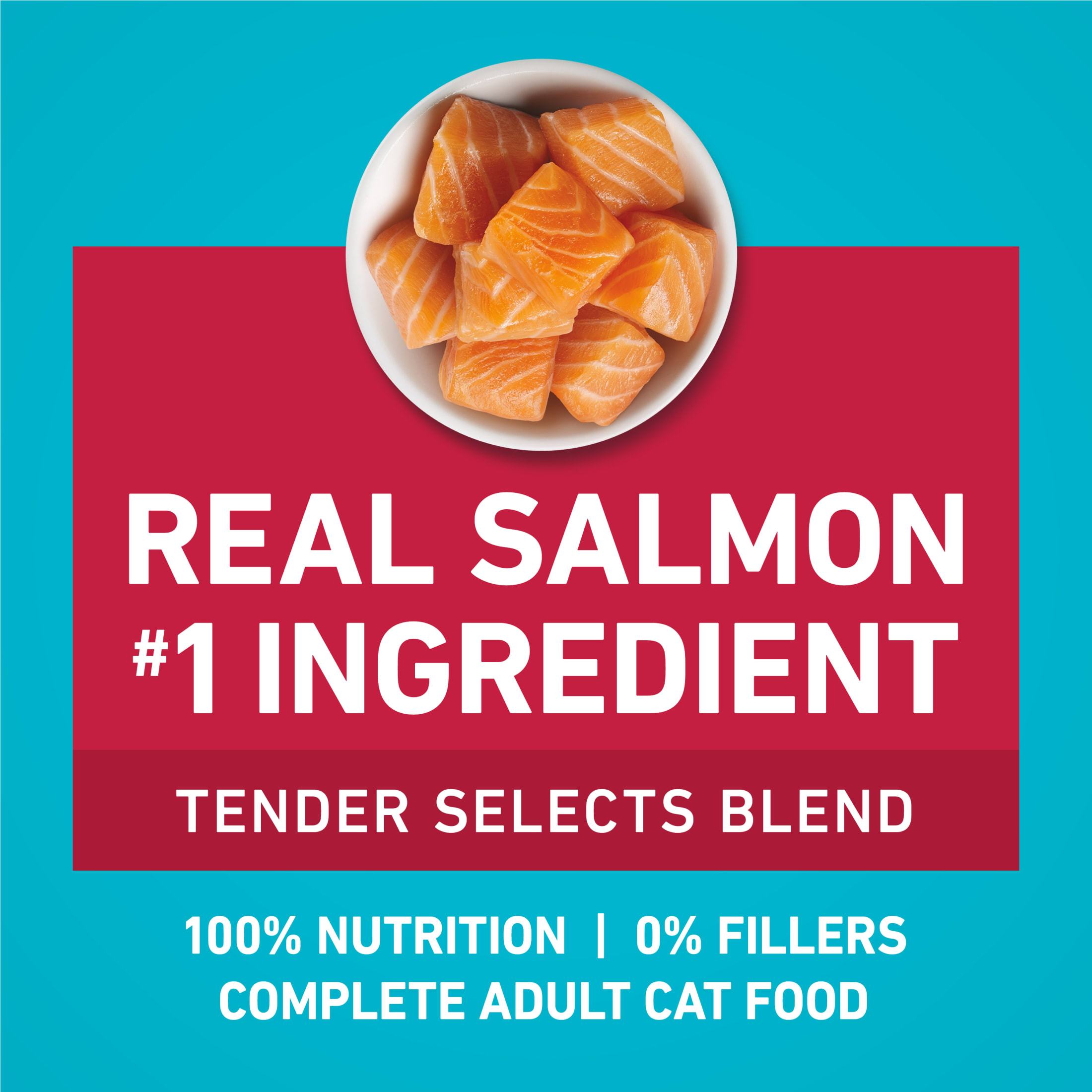 Purina ONE Tender Selects Blend With Real Salmon Digestive Care Dry Cat Food, 7 lb photo 5