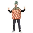 thumbnail image 1 of Pineapple Costume for Adults, 1 of 2