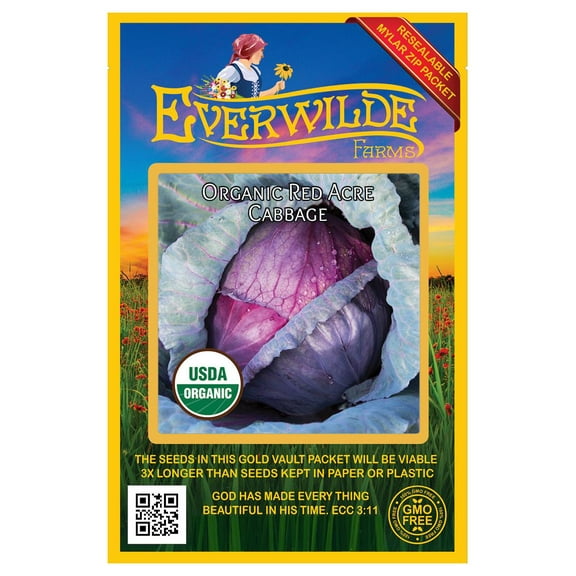 Everwilde Farms - 250 Organic Red Acre Cabbage Seeds - Gold Vault Jumbo Bulk Seed Packet