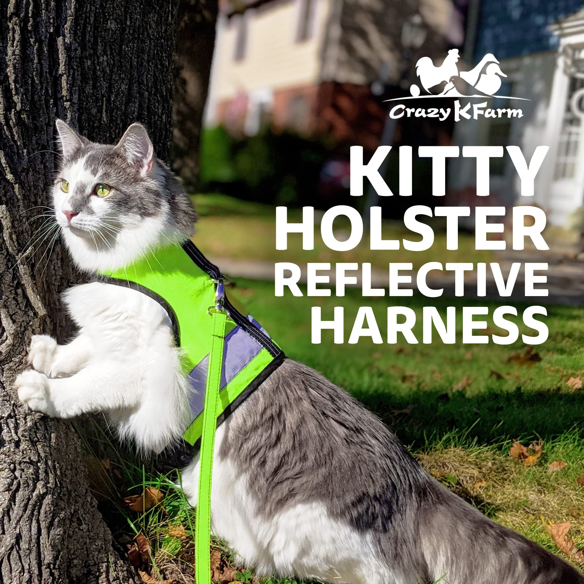 Kitty Holster Reflective Safety Harness (Made in USA) Color: Loud Lime, Size: M/L