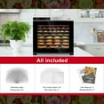thumbnail image 3 of London Sunshine® Premium Stainless Steel Food Dehydrator - Double Wall SS Structured with Glass Window - 10 Trays, 3 of 6