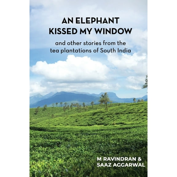 An elephant kissed my window (Paperback)